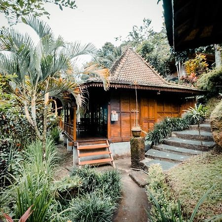 Ubud Jungle Holy Water Esterno foto